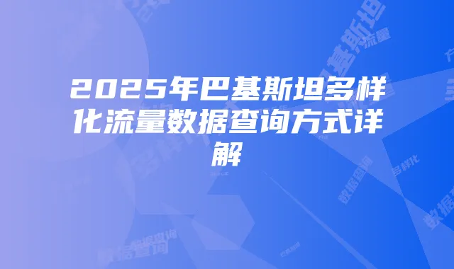2025年巴基斯坦多样化流量数据查询方式详解