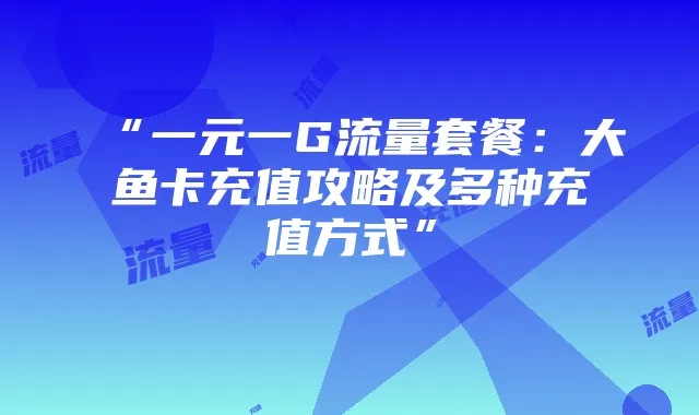 “一元一G流量套餐:大鱼卡充值攻略及多种充值方式”