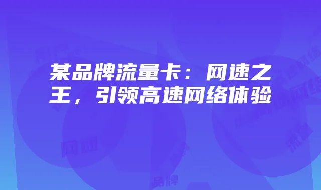 某品牌流量卡：网速之王，引领高速网络体验