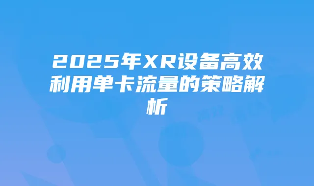 2025年XR设备高效利用单卡流量的策略解析