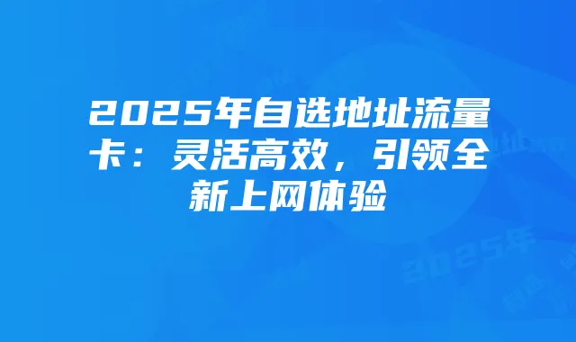 2025年自选地址流量卡:灵活高效,引领全新上网体验