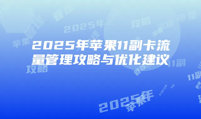 2025年苹果11副卡流量管理攻略与优化建议