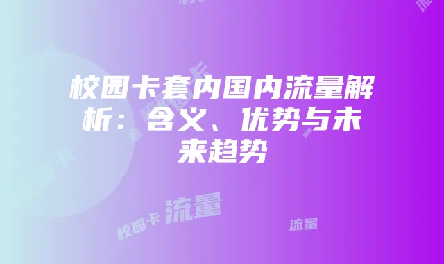 校园卡套内国内流量解析:含义、优势与未来趋势