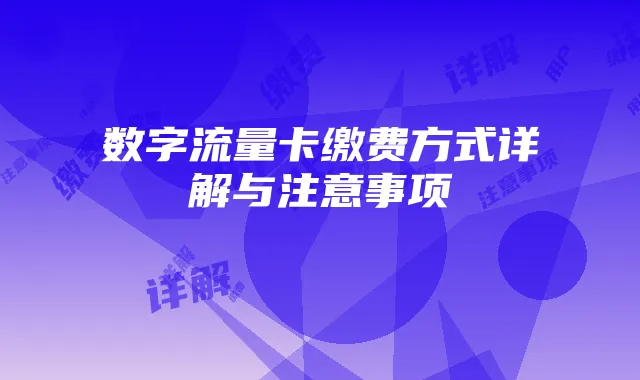 数字流量卡缴费方式详解与注意事项