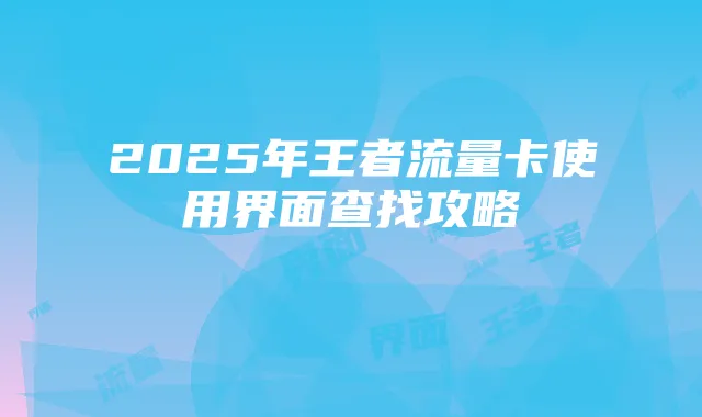 2025年王者流量卡使用界面查找攻略