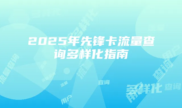 2025年先锋卡流量查询多样化指南