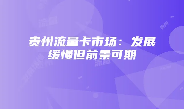 贵州流量卡市场:发展缓慢但前景可期