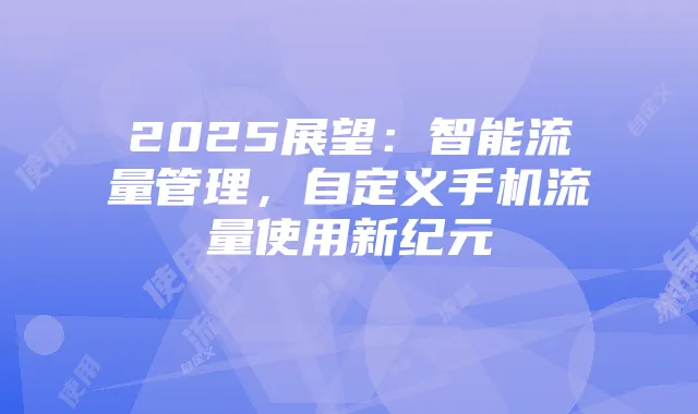 2025展望:智能流量管理,自定义手机流量使用新纪元