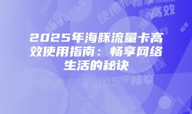 2025年海豚流量卡高效使用指南:畅享网络生活的秘诀