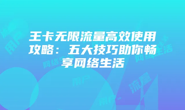 王卡无限流量高效使用攻略:五大技巧助你畅享网络生活