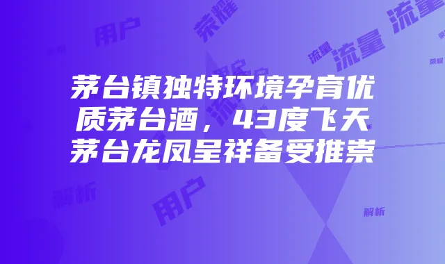 荣耀手机副卡流量数据添加指南及优化体验解析