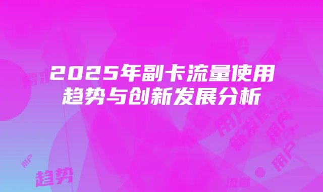 2025年副卡流量使用趋势与创新发展分析