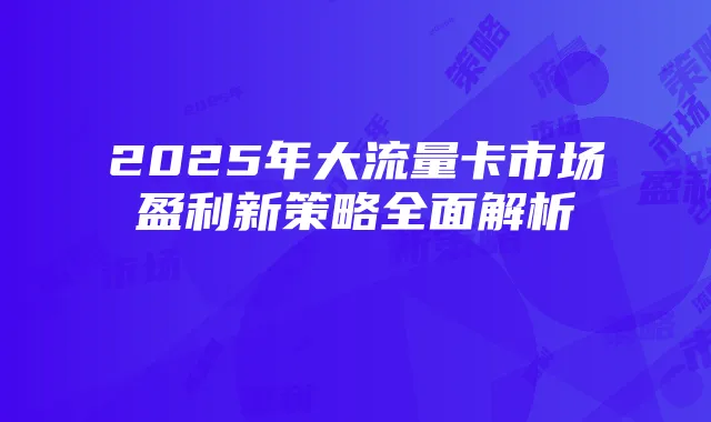 2025年大流量卡市场盈利新策略全面解析