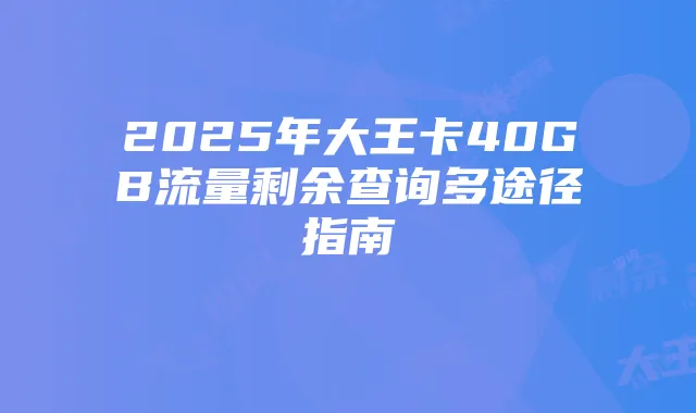 2025年大王卡40GB流量剩余查询多途径指南