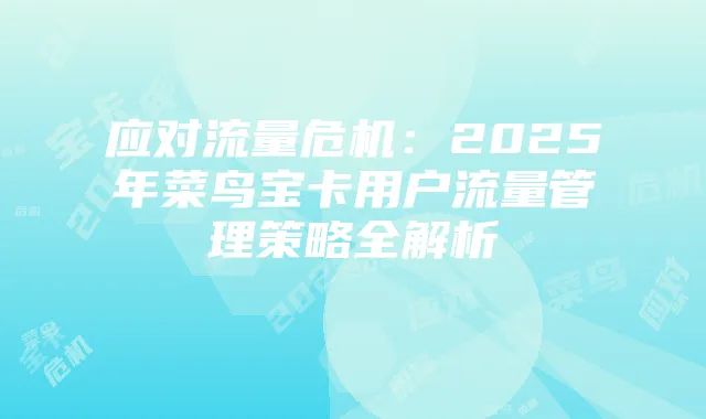 应对流量危机:2025年菜鸟宝卡用户流量管理策略全解析