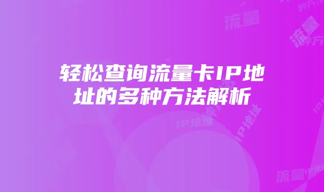 轻松查询流量卡IP地址的多种方法解析