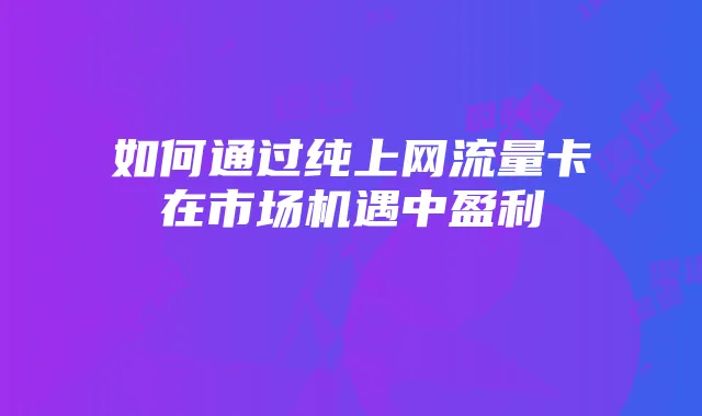 如何通过纯上网流量卡在市场机遇中盈利