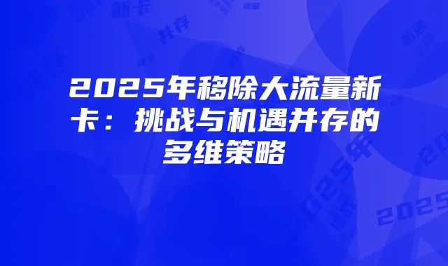 2025年移除大流量新卡：挑战与机遇并存的多维策略