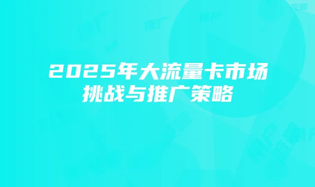 2025年大流量卡市场挑战与推广策略