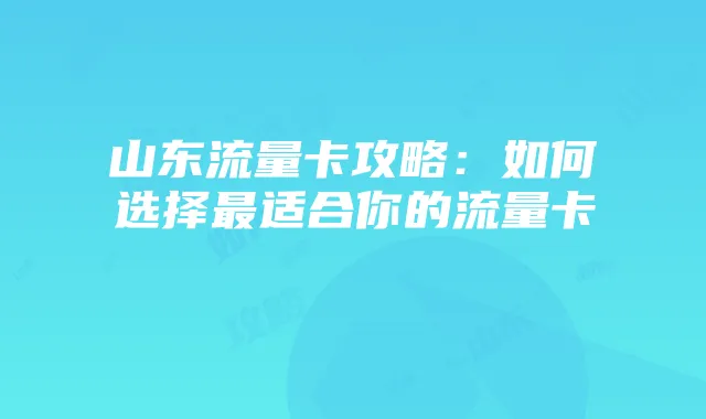 山东流量卡攻略:如何选择最适合你的流量卡