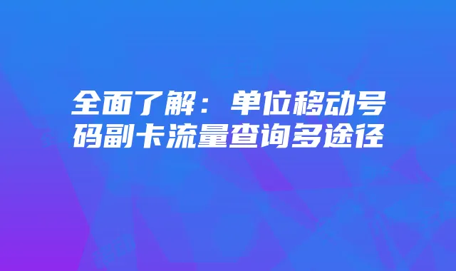 全面了解：单位移动号码副卡流量查询多途径