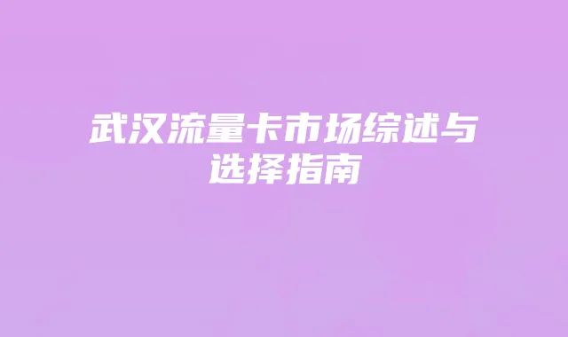 武汉流量卡市场综述与选择指南