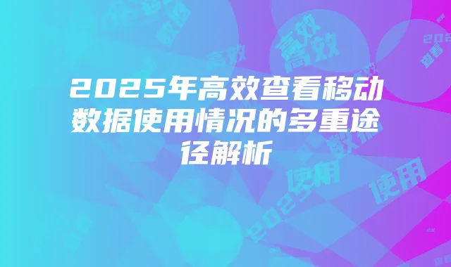 2025年高效查看移动数据使用情况的多重途径解析