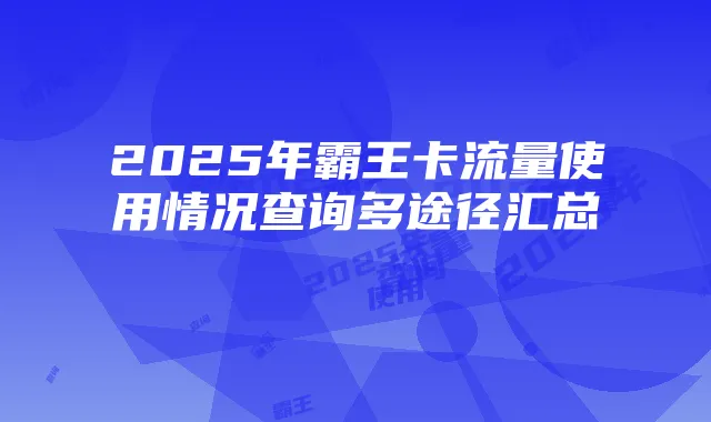 2025年霸王卡流量使用情况查询多途径汇总