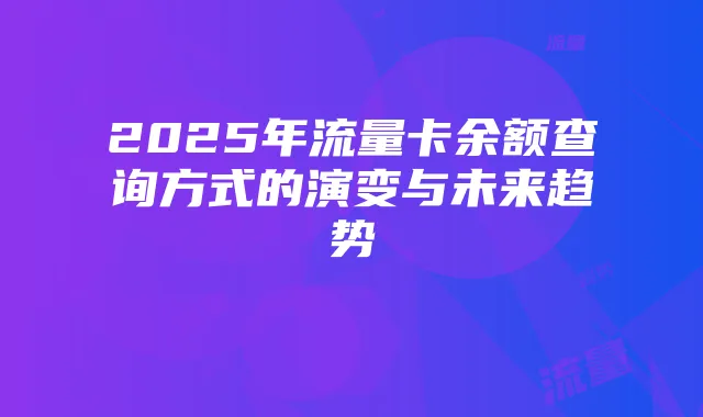 2025年流量卡余额查询方式的演变与未来趋势