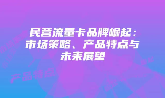 民营流量卡品牌崛起:市场策略、产品特点与未来展望