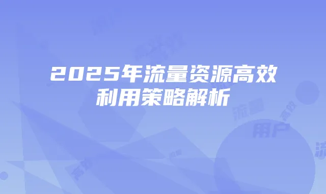 2025年流量资源高效利用策略解析