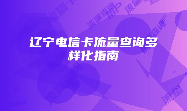 辽宁电信卡流量查询多样化指南