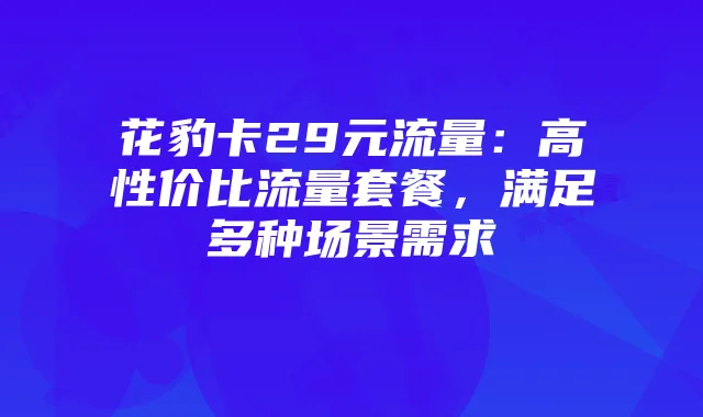 花豹卡29元流量：高性价比流量套餐，满足多种场景需求