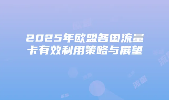 2025年欧盟各国流量卡有效利用策略与展望