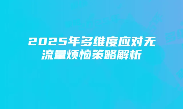 2025年多维度应对无流量烦恼策略解析