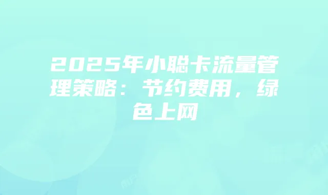 2025年小聪卡流量管理策略:节约费用,绿色上网
