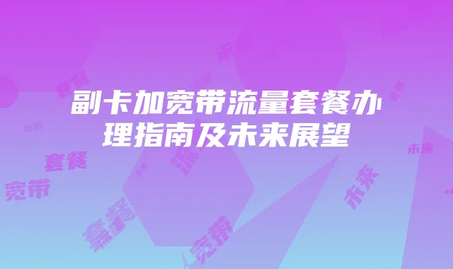 副卡加宽带流量套餐办理指南及未来展望