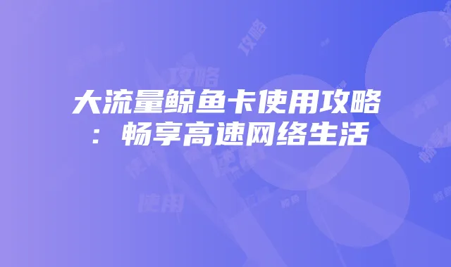 大流量鲸鱼卡使用攻略:畅享高速网络生活