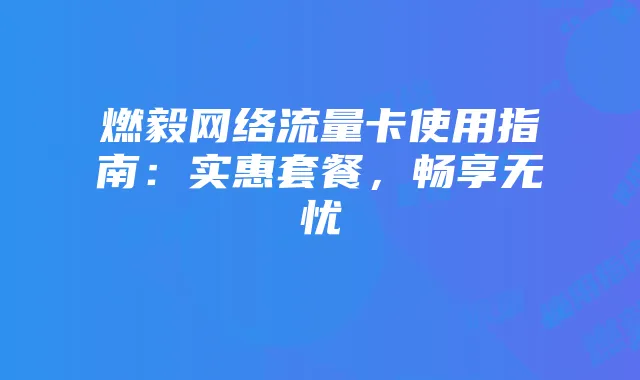 燃毅网络流量卡使用指南：实惠套餐，畅享无忧