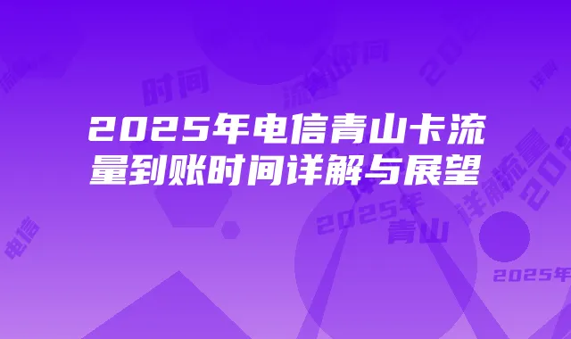 2025年电信青山卡流量到账时间详解与展望