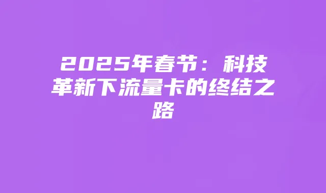 2025年春节:科技革新下流量卡的终结之路